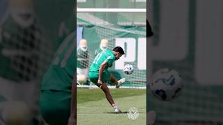 Bruno Rodrigues Afiado