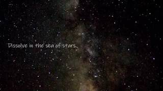 Shadow Dancing In The Night