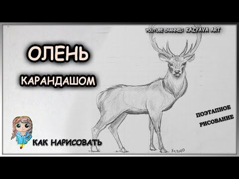 Как нарисовать ОЛЕНЯ карандашом. Мастер-класс. Пошаговая инструкция