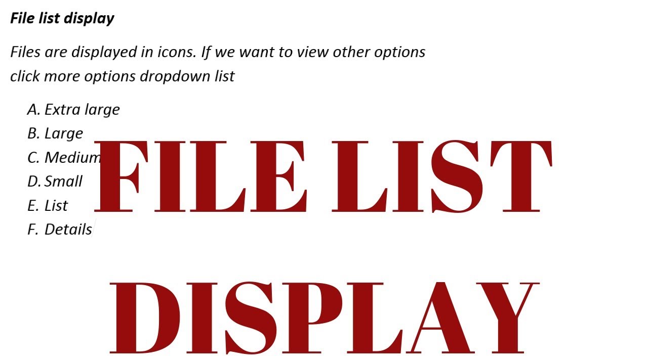 FILE LIST DISPLAY