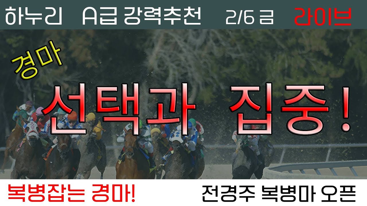 26/2/6(금) 경마 선택과 집중!  A급 강력추천 준비