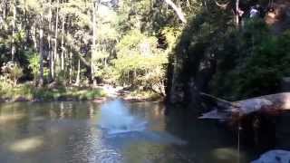 Epic Rope Swing Fail