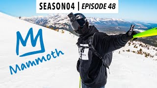 SUMMER skiing at MAMMOTH mountain!