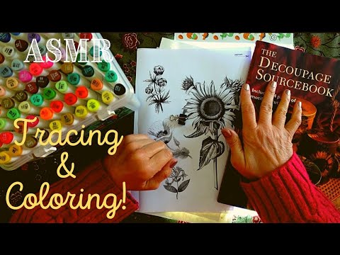 ASMR | Tracing & Coloring with Marker Pens and a Whispered Ramble!
