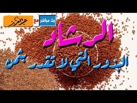 ماذا تعرفين بذور الرشاد الرائعة و طريقة تناولها