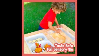 Fall-Themed Sensory Bin for Kids