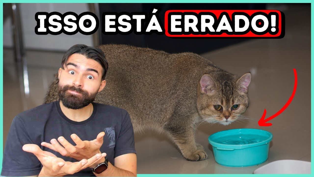 Faça Isso e Seu Gato Vai Beber o DOBRO DE ÁGUA! (Funciona 100%)