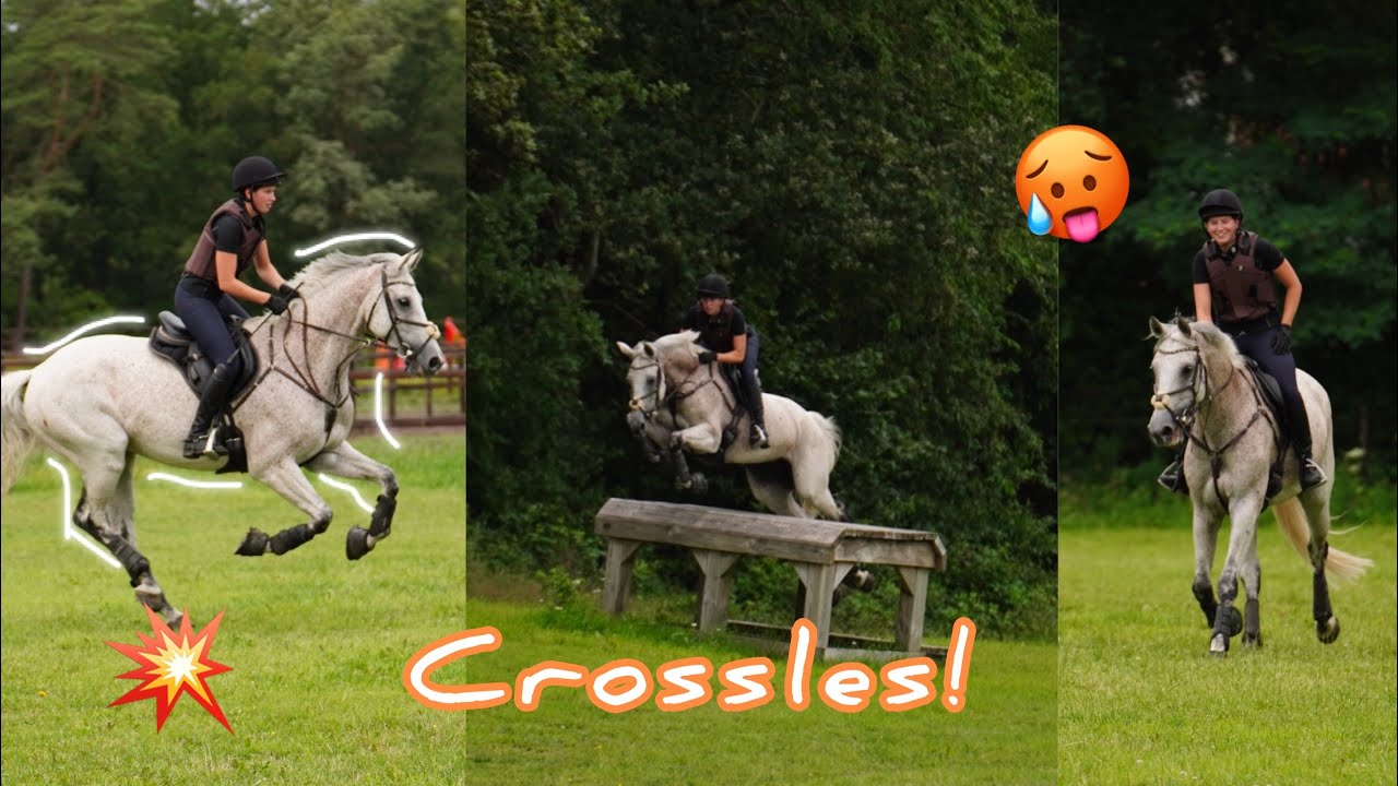 Super fijne CROSSLES van ROXANA GRAMAN! || Vds stables