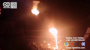 Oss Valve Casting 005