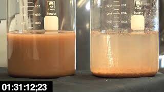 Side by Side Floc Jars; Chitosan Lactate