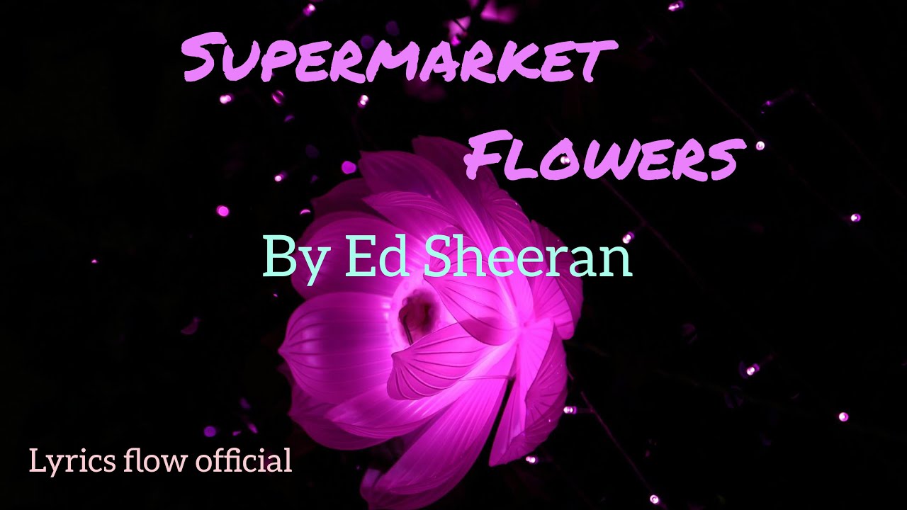 Ed Sheeran - Supermarket Flowers (Official Lyrics Video) | Lyrics Flow ...