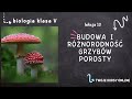 Biologia klasa 5 lekcja 13  budowa i rnorodno grzybw porosty