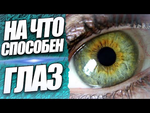 СИЛА И СПОСОБНОСТИ ГЛАЗ ЧЕЛОВЕКА Видят ли сны слепые люди? Особенности системы зрения человека