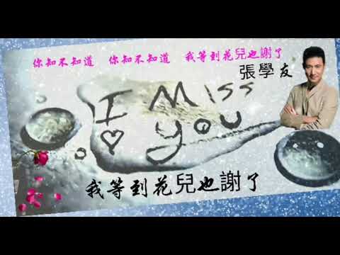 张学友 我等到花儿也谢了