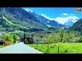 Beautiful spring in central switzerland with snowcapped mountains  swiss swissview