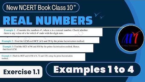 Chapter 1 Real Numbers Exercise 1.1 ( Examples 1 to 4 ) Class 10 Maths | NCERT Solutions