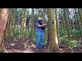 ぼくの山にカメラを設置、山の散策。ジャーマン・シェパードと散策。犬とコンテナハウスでの生活。container house home German shepherd dog