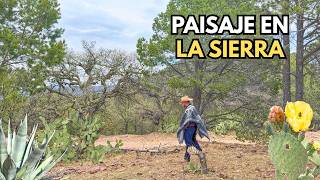 Subimos la SIERRA después de la LLUVIA, un PAISAJE de vida y Misterio