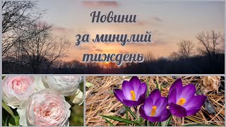 Придбали трішки нового для будинку, і дуже гарні троянди для квітників