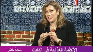 د. دنيا شعير #الأنظمة الغذائية المختلفة# قناة القاهرة- برنامج سلطة خضرة- تقديم أ. دعاء حجاب