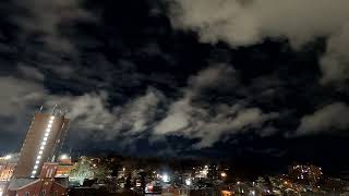 Singing Winds Crying Beasts by Carlos Santana