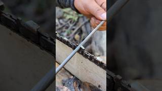 Afilando después del almuerzo 💪🔥 #chainsaw #sthil #madera #woodworking #asmr