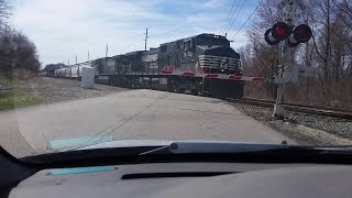 HornBlasters Shocker Vs Real Train Horn