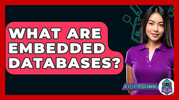 What Are Embedded Databases? - Next LVL Programming