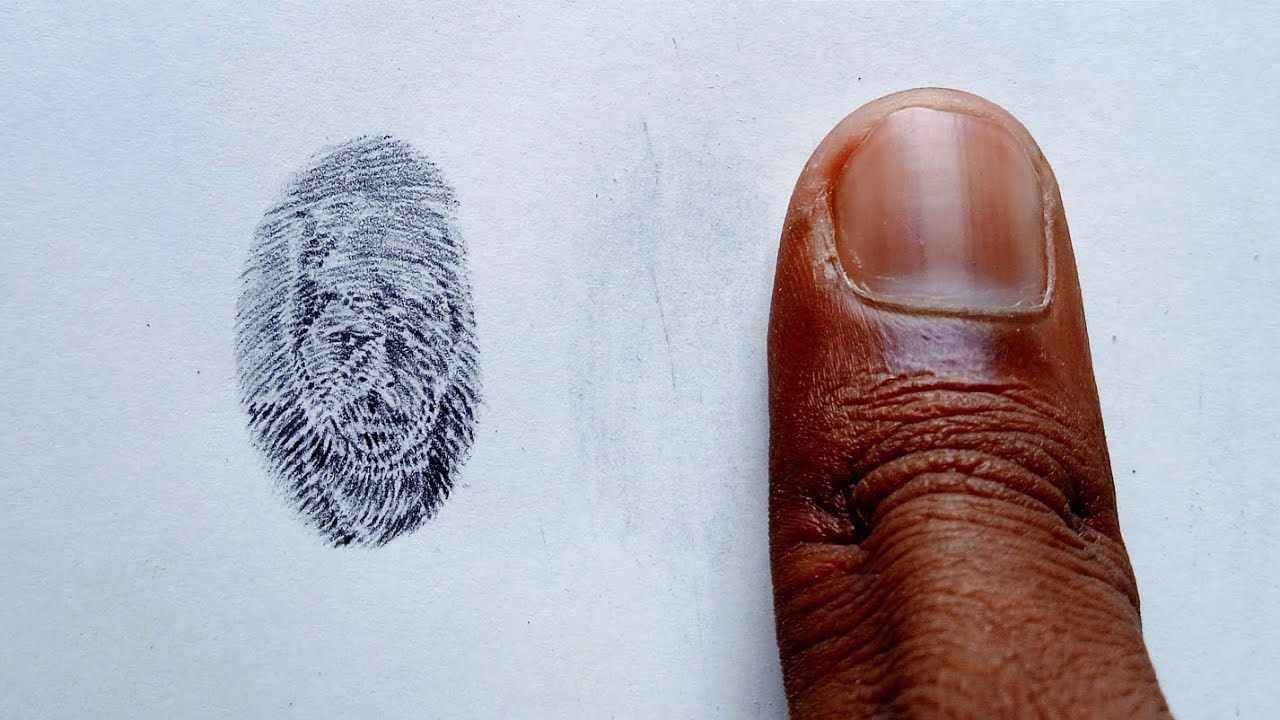Jawan drawing from my fingerprint