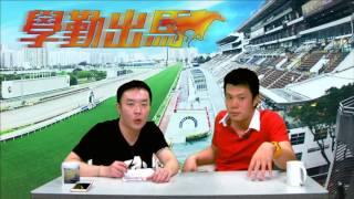 學勤出馬-在澳洲油王高多芬馬房工作經驗-20160527c