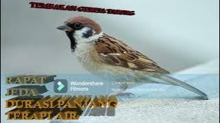 MASTERAN GEREJA TARUNG CEPAT DIREKAM TERBARU DURASI PANJANG TERAPI AIR DAN JEDA