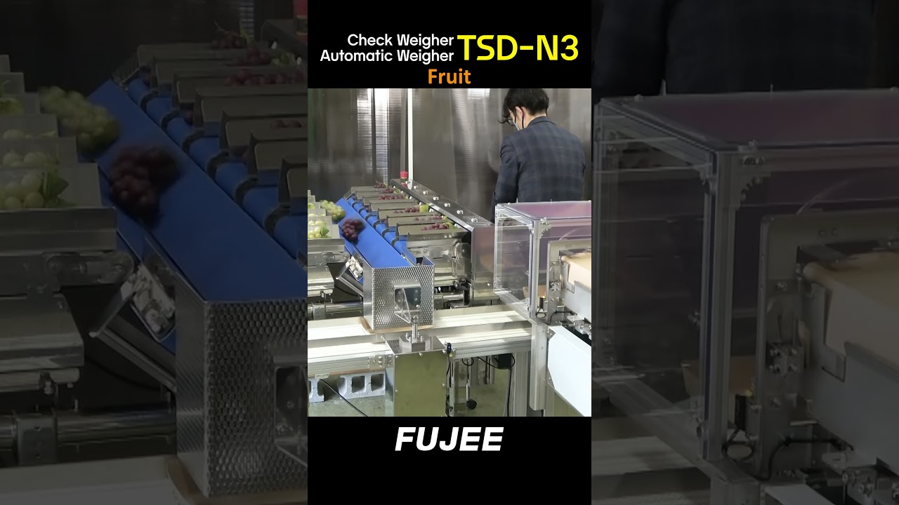 Smart Machine Sorting Fruits by Weight [TSD-N3] 