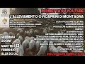 L'allevamento ovicaprini di montagna - Mattia Cacciatori e Sofia Chiudinelli - DS