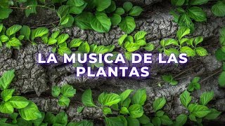 La musica de las plantas - Que es?