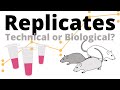 Understanding Replicates in Scientific Experiments