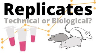 Biological vs Technical Replicates explained
