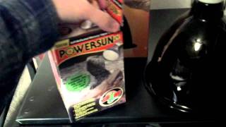 Russian Tortoise Lighting