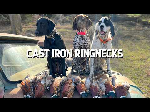 Cast Iron Ringnecks | The Flush: Season 15, Episode 8