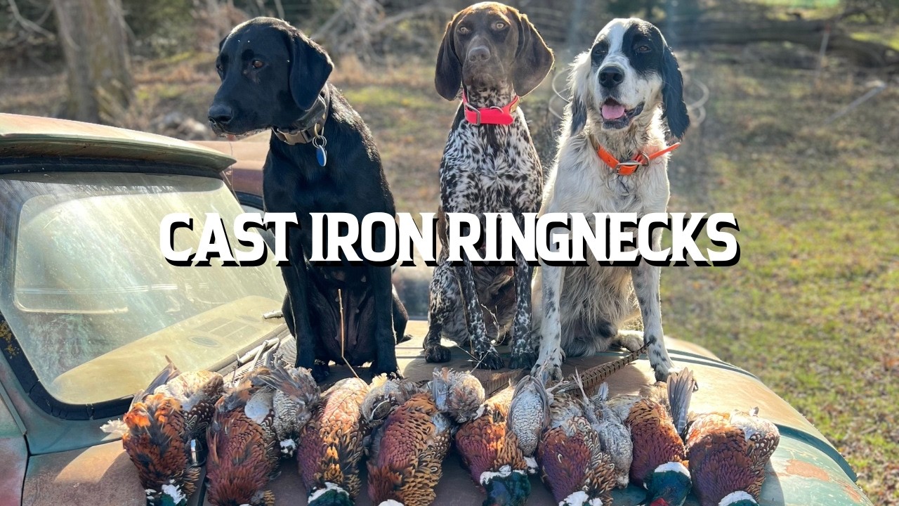 Cast Iron Ringnecks | The Flush: Season 15, Episode 8