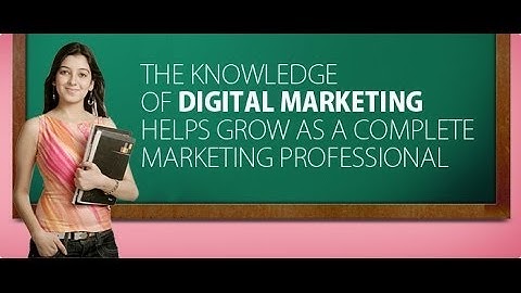 SEO Basics Training in Pakistan