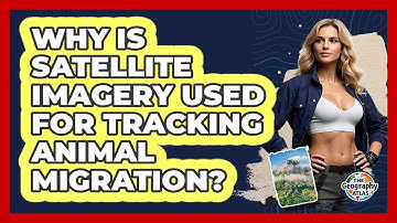 Why Is Satellite Imagery Used For Tracking Animal Migration? - The Geography Atlas