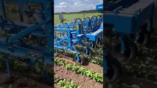 🚜 DEUTZ-FAHR AGROTRON 6 EN ACTION ! Le tracteur qui impressionne aux champs 💪 | Climax Agricole