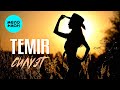 TEMIR - Силуэт (Single, 2025)