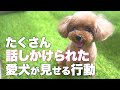 話しかける時に大切なポイントと話しかけるメリット