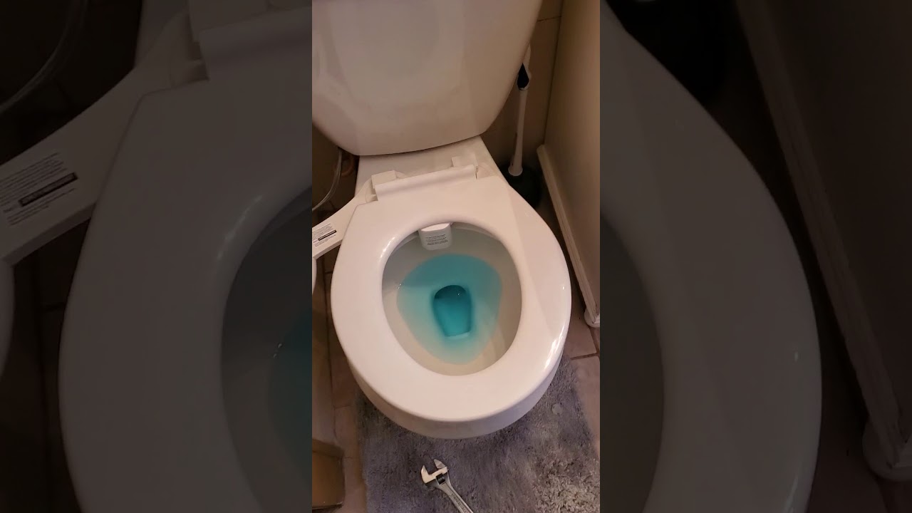 Luxe Bidet Neo 180 Vs 185 Luxe Bidet Neo 180 Vs 185