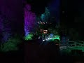 Maymont Garden Glow! 10/22/22 Cascading Tree lights