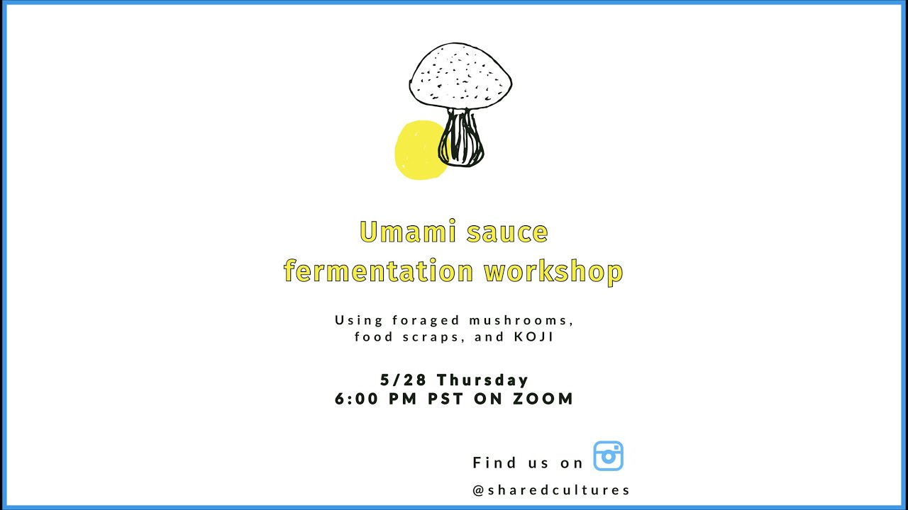 BERKELEY OPEN SOURCE FOOD - 6th Wild/Feral Food Week - Umami Sauce Fermentation Workshop