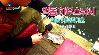 형제꽝조사 설동낚시터 역돔 진한손맛을느껴보자 하우스역돔낚시풀버젼 형제꽝조사 설동낚시터 역돔 진한손맛을느껴보자 하우스역돔낚시풀버젼