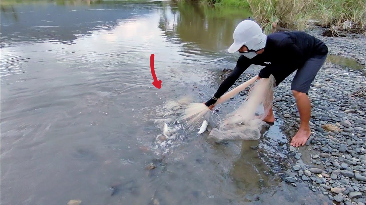 jala ikan di tempat ini, ikannya tidak habis habis,!!! - YouTube