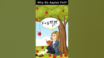 Why Do Apples Fall?